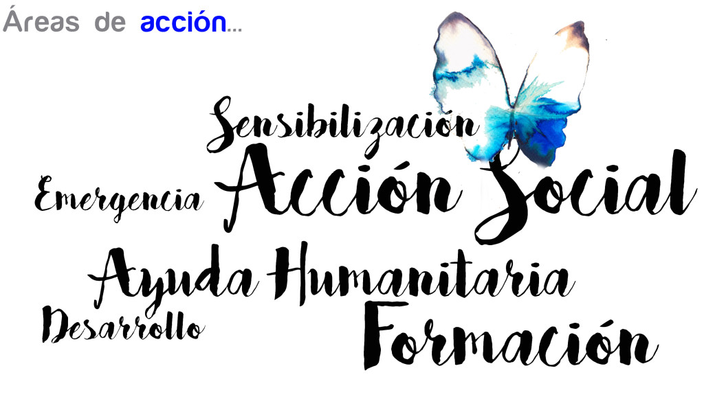 areas de aciion